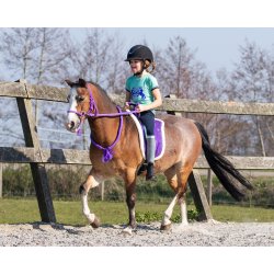  Bare Back Pad fra QHP i friske farver - shet til X full