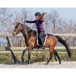  Bare Back Pad fra QHP i friske farver - shet til X full