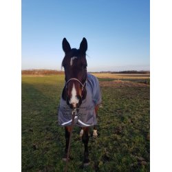 Dkken 100 gr.  fra Campus