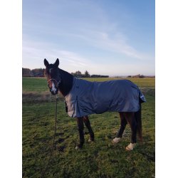 Dkken 100 gr.  fra Campus