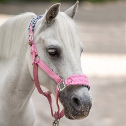 Grime fra IR til shetlnder i 3 forskellige farver "Pandora"