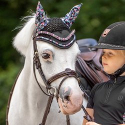 Hut fra IR til shetlnder "Pandora"