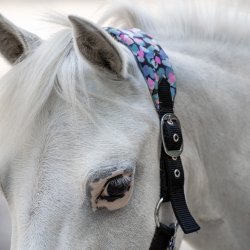 Grime fra IR til shetlnder i 3 forskellige farver "Pandora"