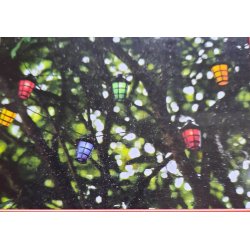 Have lanterner til ophng - 20 lamper med ledning og adapter 