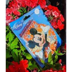 Disney spiral notes book i peter plys, mickey Mouse eller Cars