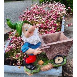 Havenisse med trillebr til blomst - 2 modeller 