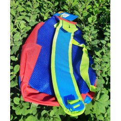 Disney skr rygsk Minnie Mouse , Peter plys eller Mickey Mouse