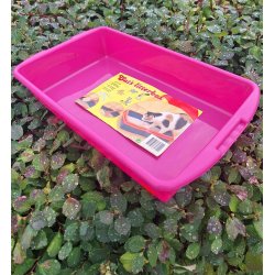 Katte bakke med skovl - god begynder bakke 