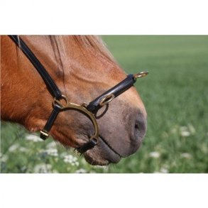 Karlslund - Ride Kapsun.