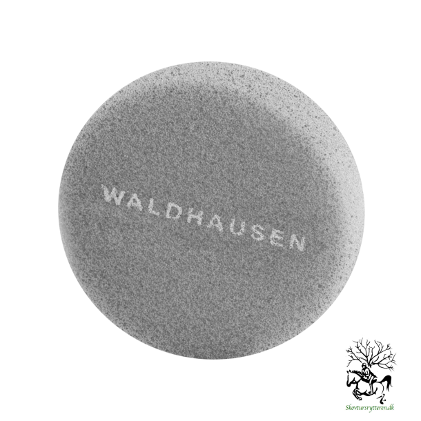 Svamp rund gr fra waldhausen 
