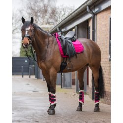 QHP Gamacher med falsk lam 