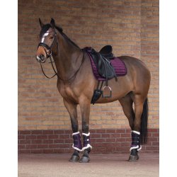 QHP Gamacher med falsk lam 