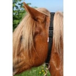 Sikkerheds halsrem. fra karlslund 