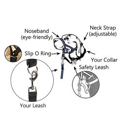 Anti trk sele til din hund 