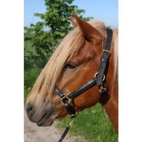  Grime i lder fra Karlslund 