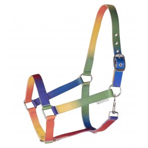 Regnbue farvet grime til shetlnder