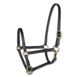  Ldergrime med chrome eller messing spnder