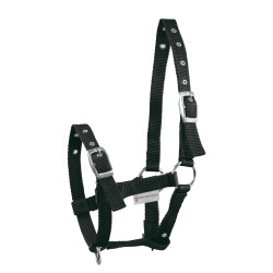 Flgrime i flere farver fra Waldhausen