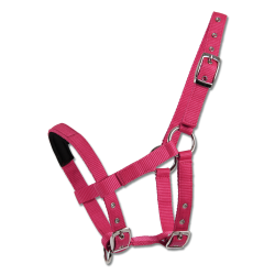 Grime til Mini Shetlnder 