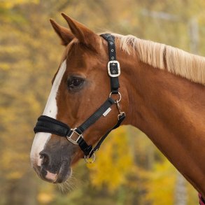 Grime med memory skum fra  waldhausen i sort