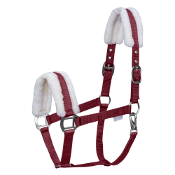 Grime fra Waldhausen "First Halter" Bordeaux