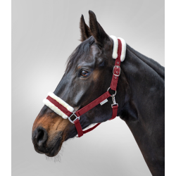 Grime fra Waldhausen "First Halter" Bordeaux