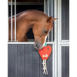 Hestelegetj som ble fra QHP