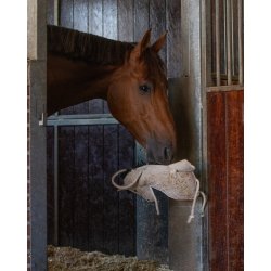 Hestelegetj som Hest