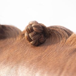 Flette voks stift - let at bruge 40 ml