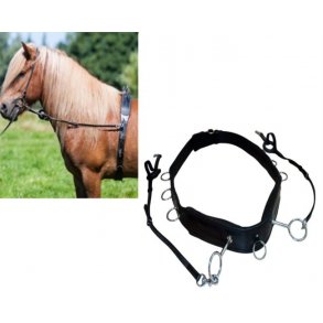 Karlslund - Longeringsgjord.