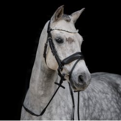  Trense med tilbagetrk fra ByWeber "Andrea" Sort/sort med krystaller