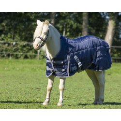 Stalddkken til Falabella 