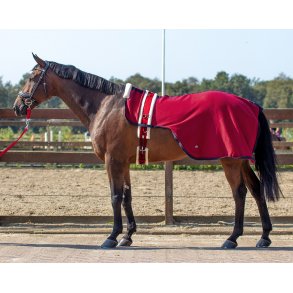 Longeringstppe fra QHP i bordaux