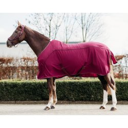 Cool Mesh fra QHP  "Astana"