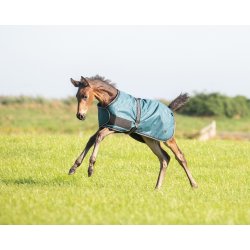 Fl Dkken 600 D fra QHP i grn