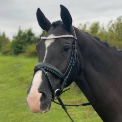  Trense med tilbagetrk fra ByWeber "Andrea" Sort/sort med krystaller