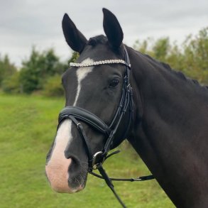  Trense med tilbagetrk fra ByWeber 