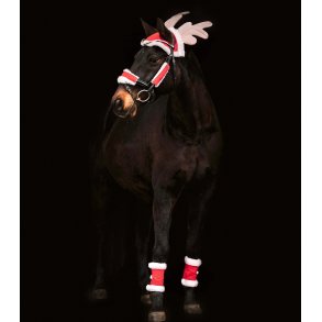 Julest til hest fra Waldhausen