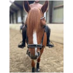 Trense fra By Weber med klare krystaller - Dolly