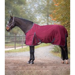 Regndkken med clip-in system "Economic light"