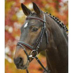 Waldhausen Trense Kombineret fra str Mini Shetlnder  " Diamant"