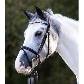 trense til mini shetl�nder og shetl�nder med lyser�de hjerter 