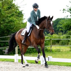 St�vnejakke fra QHP i palm gr�n 