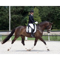 Stvnejakke med m mesh i siderne og i ryggen fra QHP "Noven" sort