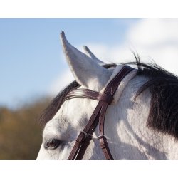 Trense med buet nserem og falsk lam "Ontario"