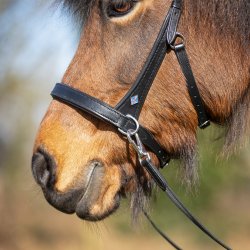Bidl�s trense fra QHP "Fjara"