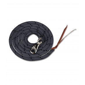 Horsemanship tov fra Waldhausen