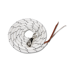 Horsemanship tov fra Waldhausen