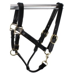 Ldergrime i bldt og smidigt lder "Mink Horse"