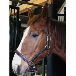 Ldergrime i bldt og smidigt lder "Mink Horse"